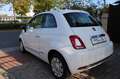 Fiat 500 |Klimaauto.|Panorama|TÜV NEU - thumbnail 4