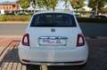 Fiat 500 |Klimaauto.|Panorama|TÜV NEU - thumbnail 5