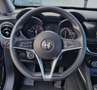 Alfa Romeo Stelvio 2.2 Turbodiesel 160 CV AT8 RWD - GARANZIA 5 ANNI ! Bleu - thumbnail 9