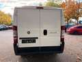 Fiat Ducato Kasten 28 115 1.Hd L1 H1 Kurz Flachdach Weiß - thumbnail 8