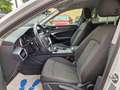 Audi A6 Avant 40 2.0 tdi mhev Busines Design quattro s-tro Bianco - thumbnail 12