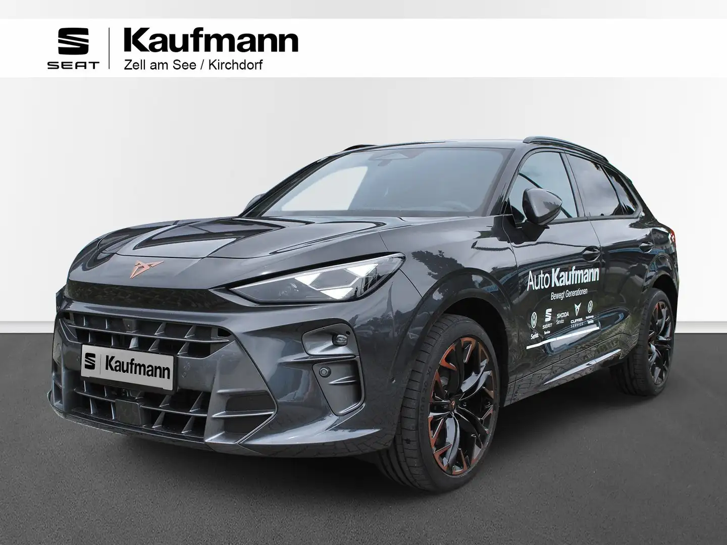 CUPRA Terramar VZ 2.0 TSI 265 PS DSG 4Drive Grau - 1