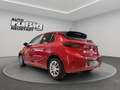 Opel Corsa Edition 1.2 *PDC*SHZ*LHZ*CARPLAY* Rot - thumbnail 3