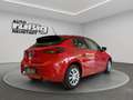 Opel Corsa Edition 1.2 *PDC*SHZ*LHZ*CARPLAY* Rot - thumbnail 5