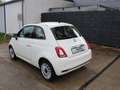 Fiat 500 Lounge 1.2 8V **PANO** Bianco - thumbnail 3