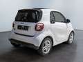 smart forTwo EQ  22KW SHZ Weiß - thumbnail 6