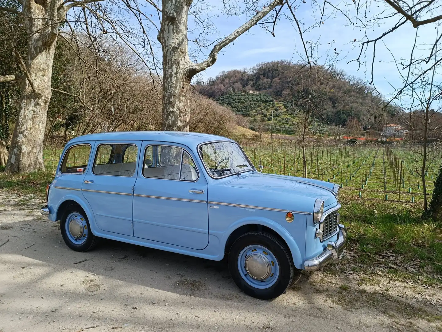 Fiat FIAT 1100 FAMILIARE DOCUMENTI E TARGHE ORIGINALI Bleu - 1