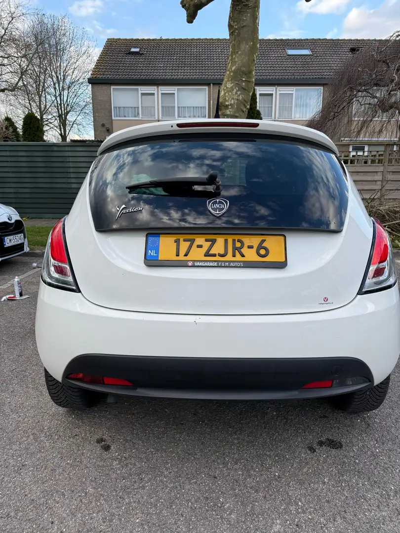 Lancia Ypsilon Y 0.9 TwinAir Turbo 8V Platinum - 2