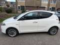 Lancia Ypsilon Y 0.9 TwinAir Turbo 8V Platinum - thumbnail 1