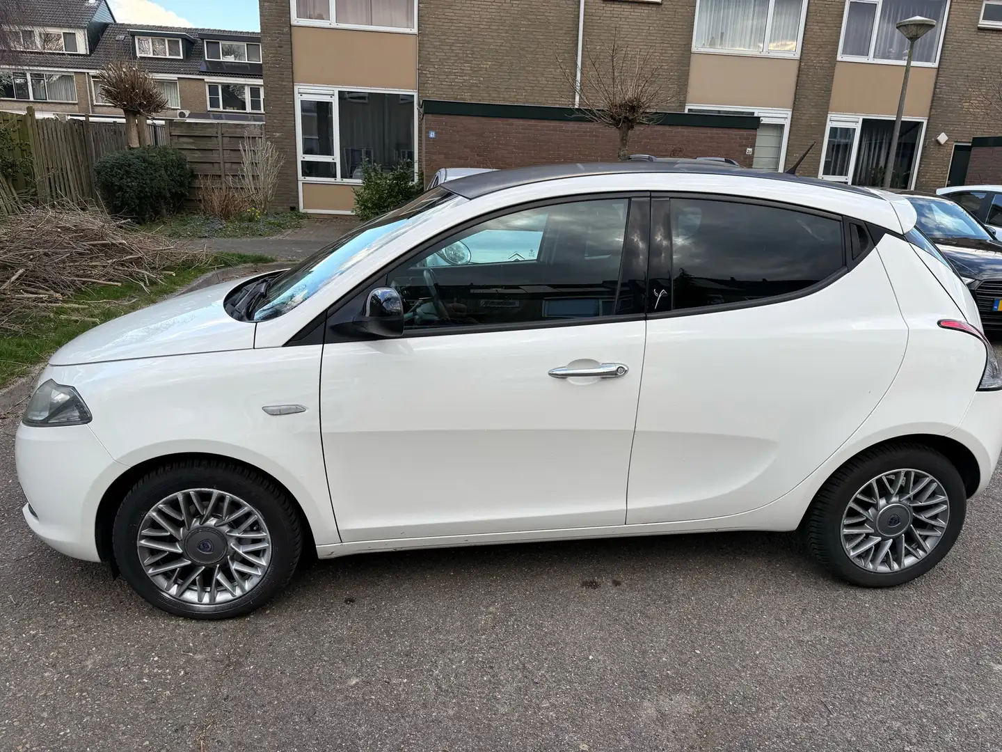 Lancia Ypsilon Y 0.9 TwinAir Turbo 8V Platinum - 1