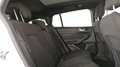Ford Focus SW 1.0t ecoboost h ST-Line X 125cv Zilver - thumbnail 8
