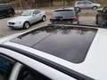 BMW 330 3 Touring 330d Sport "Navi-Leder-AHK-Panorama" Blanco - thumbnail 9