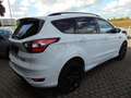 Ford Kuga 1,5 EcoBoost 4x2 110kW ST-Line Automatik Blanc - thumbnail 4