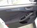 Ford Focus 1.0 EcoBoost Hybrid 125CV 5p. Active X Bianco - thumbnail 8