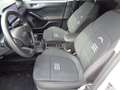 Ford Focus 1.0 EcoBoost Hybrid 125CV 5p. Active X Bianco - thumbnail 9