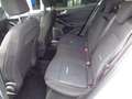 Ford Focus 1.0 EcoBoost Hybrid 125CV 5p. Active X Bianco - thumbnail 10