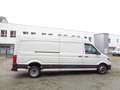 Volkswagen Crafter 50 MAXI; HOCH+LANG; KLIMA Weiß - thumbnail 13