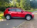 Mazda CX-5 2.0 TS 2WD Rouge - thumbnail 4