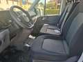 Volkswagen Crafter OfficinaMobile Allestito 2.0Tdi 140CV L3H3 Silber - thumbnail 14