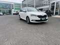 Skoda Fabia Combi 1.0 TSI Best of OPF *Navi *AHK * Klima Navi Blanc - thumbnail 5