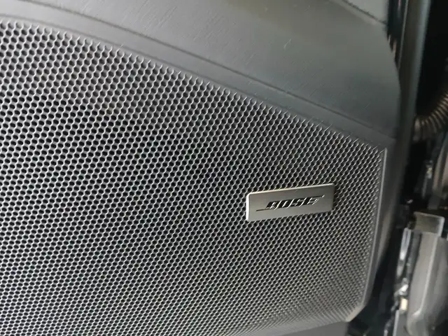 Porsche Cayenne S E-Hybrid Black Edition Ansicht 19