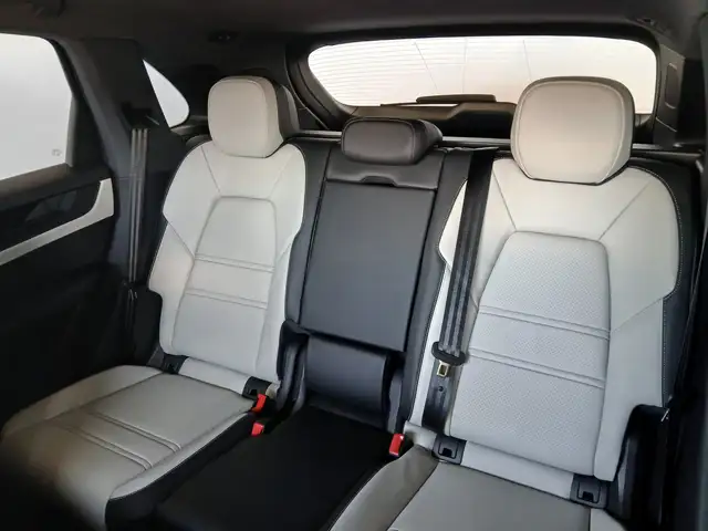 Porsche Cayenne S E-Hybrid Black Edition Ansicht 33