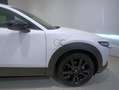 Mazda CX-30 2.5 e-Skyactiv-G Homura FWD 103kW Blanco - thumbnail 10