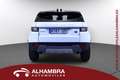 Land Rover Range Rover Evoque 2.0TD4 SE 4WD 150 - thumbnail 5