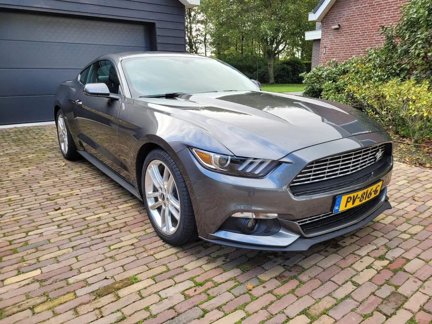 Ford Mustang 2.3 Eco Boost Aut. Grijs - 2