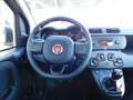 Fiat Panda 0.9 80PK TWINAIR POPSTAR! All-in Prijs! Grau - thumbnail 3