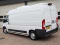 Fiat Ducato 2.3 MultiJet 131pk Euro 6 L3H2 Iso - Koeling - Cam Blanc - thumbnail 4