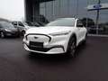Ford Mustang Mach-E Basis Weiß - thumbnail 1
