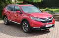 Honda CR-V 1.5 T 4WD Executive*HDUP*E.DACH*SENSING Rojo - thumbnail 3