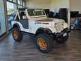 Jeep CJ-5 Golde Eagle Alb - thumbnail 8
