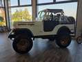 Jeep CJ-5 Golde Eagle Alb - thumbnail 6
