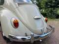 Volkswagen Kever 1965 L572 Panama Beige Original Paint Matching # Beige - thumbnail 39