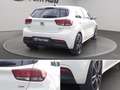 Kia Rio 1.0 t-gdi cool 100cv Bianco - thumbnail 14
