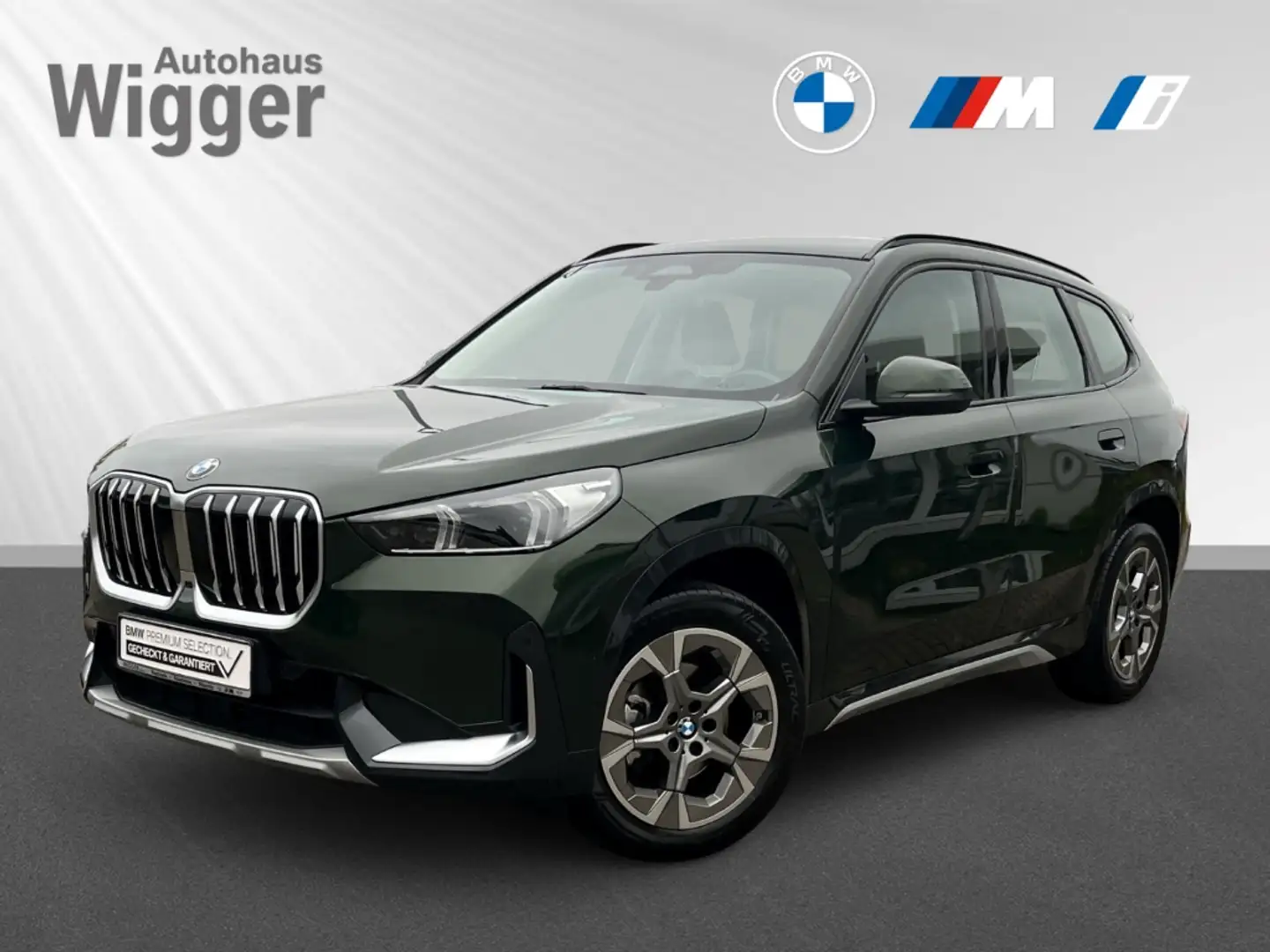 BMW X1 xDrive 20d xLine/AHK/Navi/HarmanKardon/LED Grün - 1