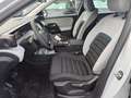 Citroen C5 Aircross mHEV 145 You Automatik LAGER-AKTION Weiß - thumbnail 3