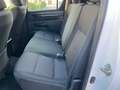 Toyota Hilux Cabina Doble GX Bianco - thumbnail 13