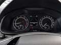 Skoda Kamiq 1.0 TSI Ambition 81kW Plateado - thumbnail 7