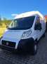 Fiat Ducato L1H1 - thumbnail 2