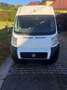Fiat Ducato L1H1 - thumbnail 8