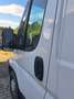 Fiat Ducato L1H1 - thumbnail 13