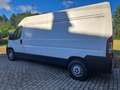 Fiat Ducato L1H1 - thumbnail 12
