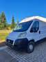 Fiat Ducato L1H1 - thumbnail 3