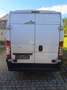 Fiat Ducato L1H1 - thumbnail 19