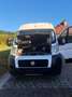 Fiat Ducato L1H1 - thumbnail 6