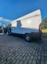Fiat Ducato L1H1 - thumbnail 18
