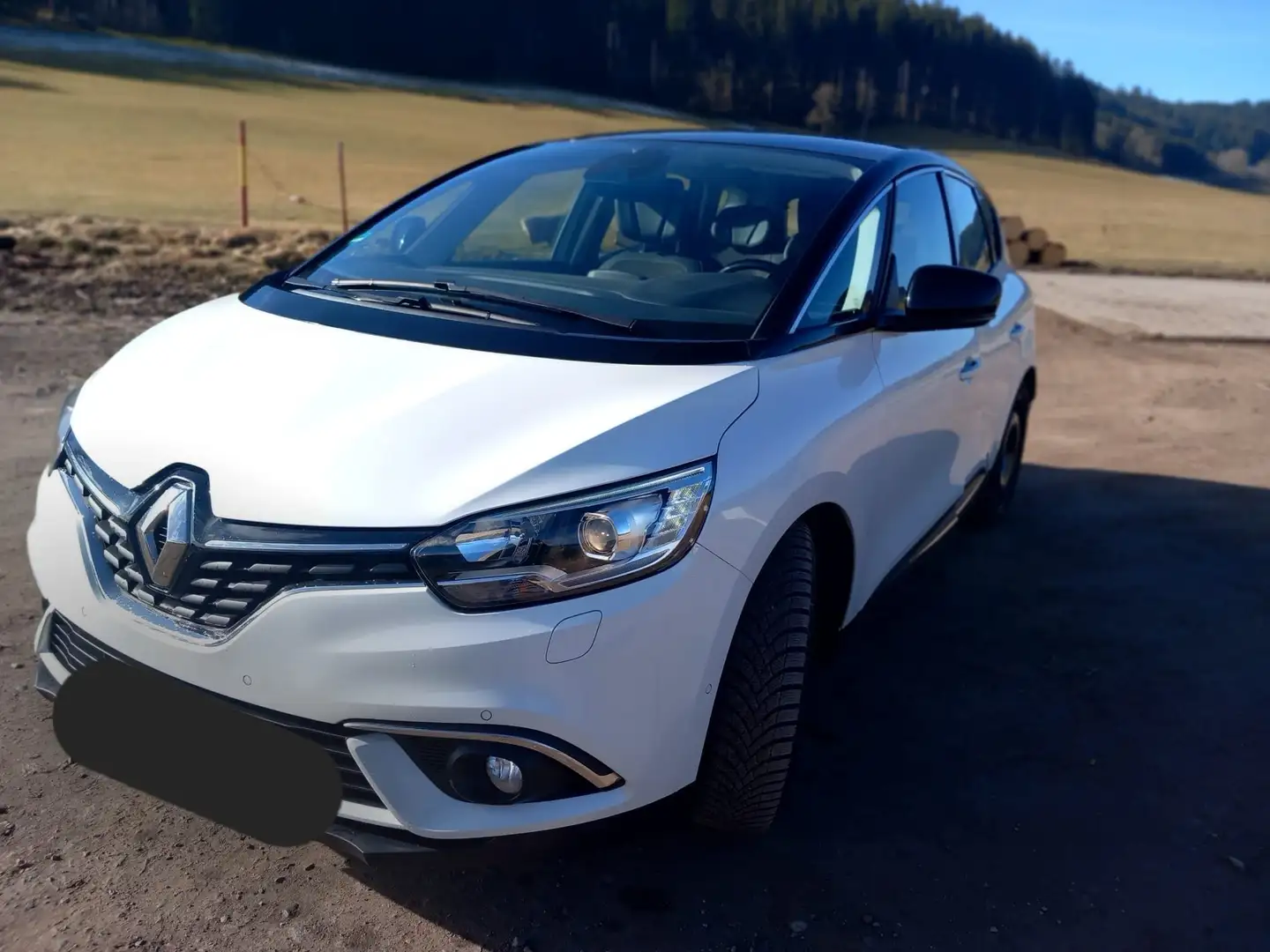 Renault Scenic Scenic 2.0 16V RXi Weiß - 1